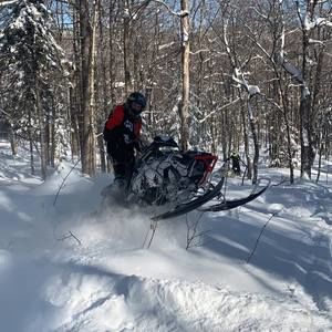 Meet your Posher, Dylan